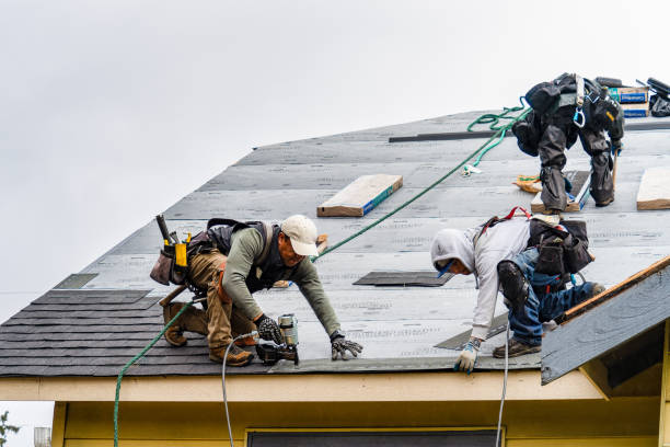 Professional Storm Damage Roof Repair technician working in Mc Dade, TX